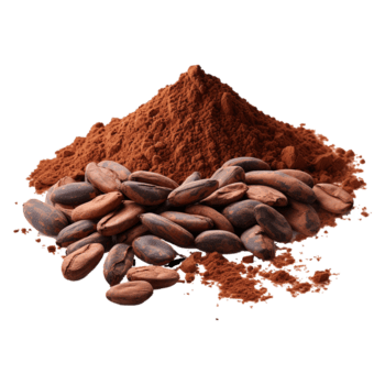 Coco Powder Dark