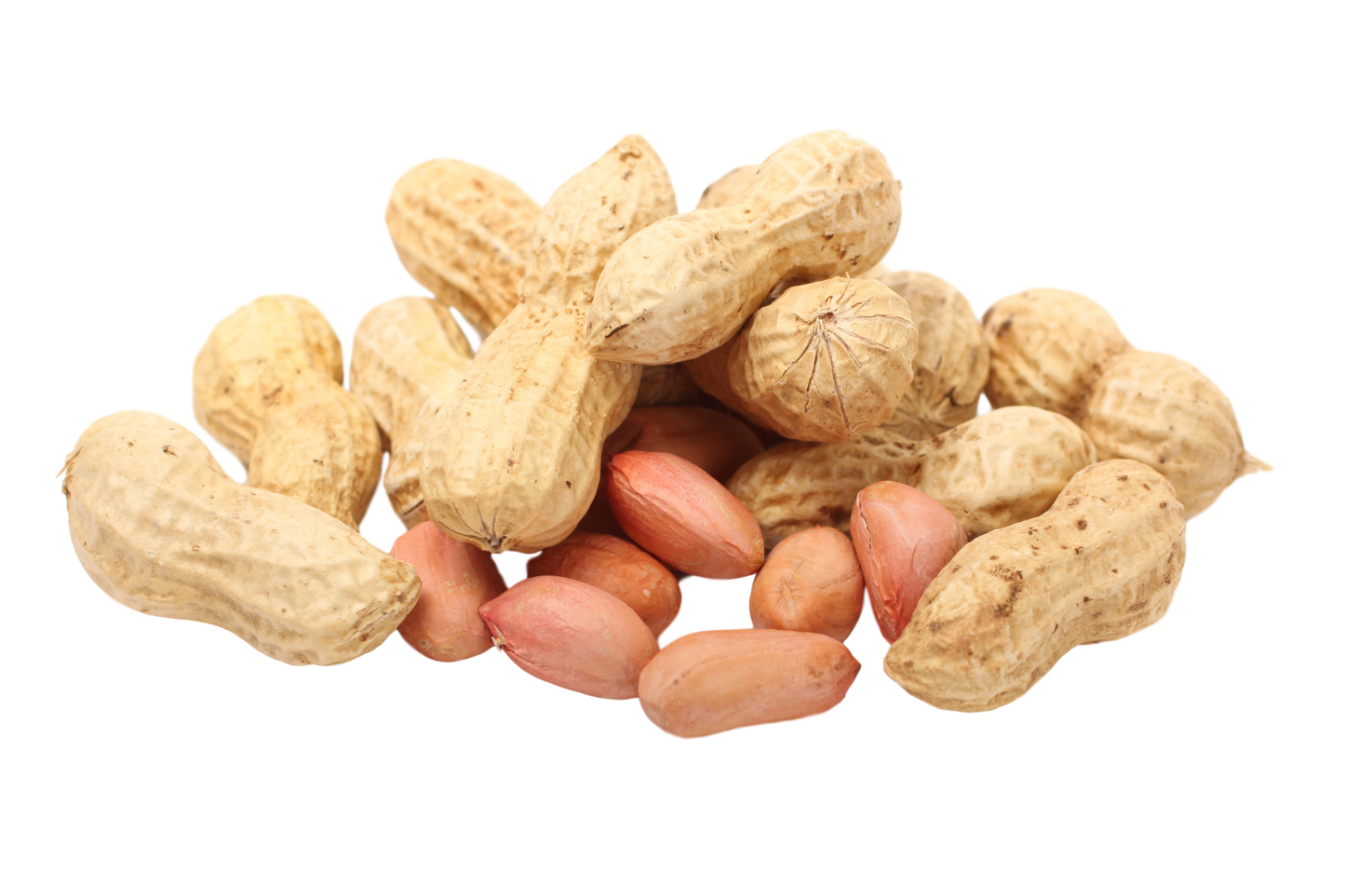 Peanut