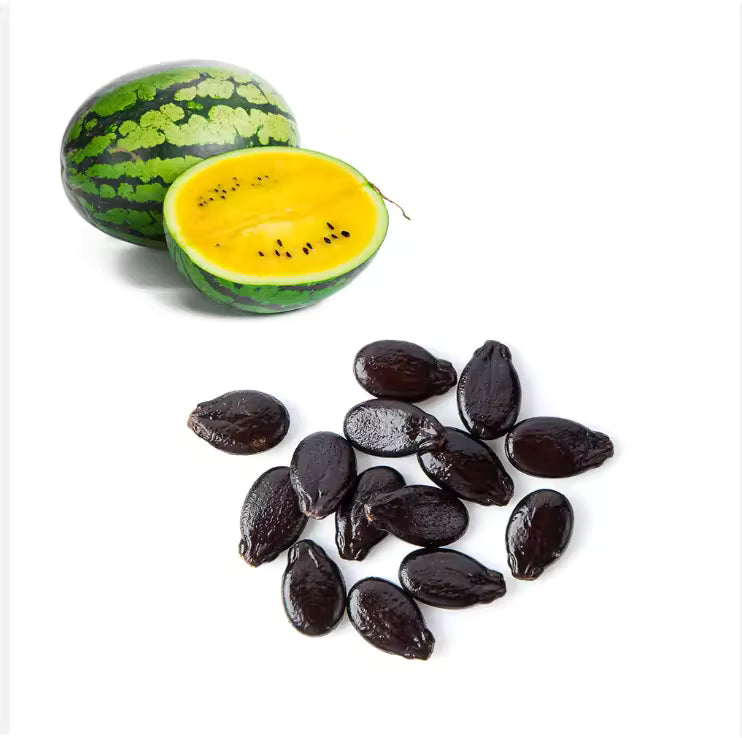 Watermelon Seed