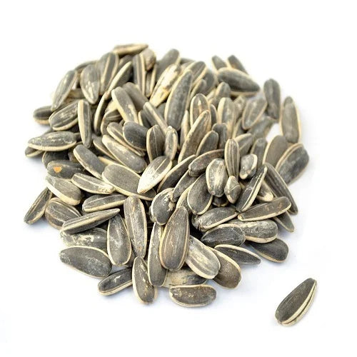 Sunflower Seed